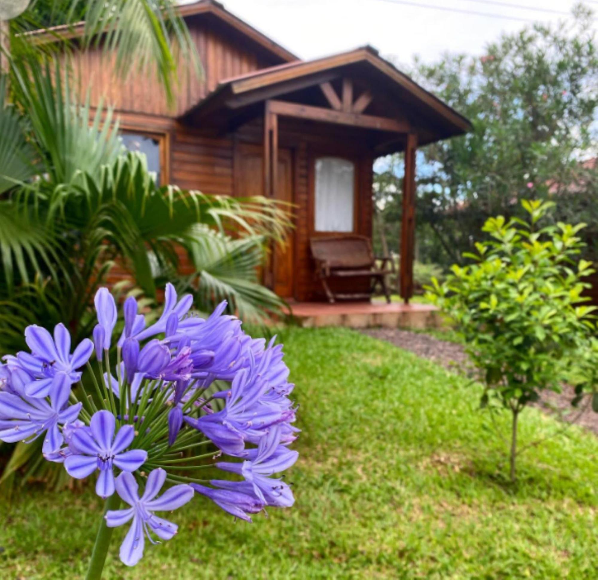 Doralia Lodge *