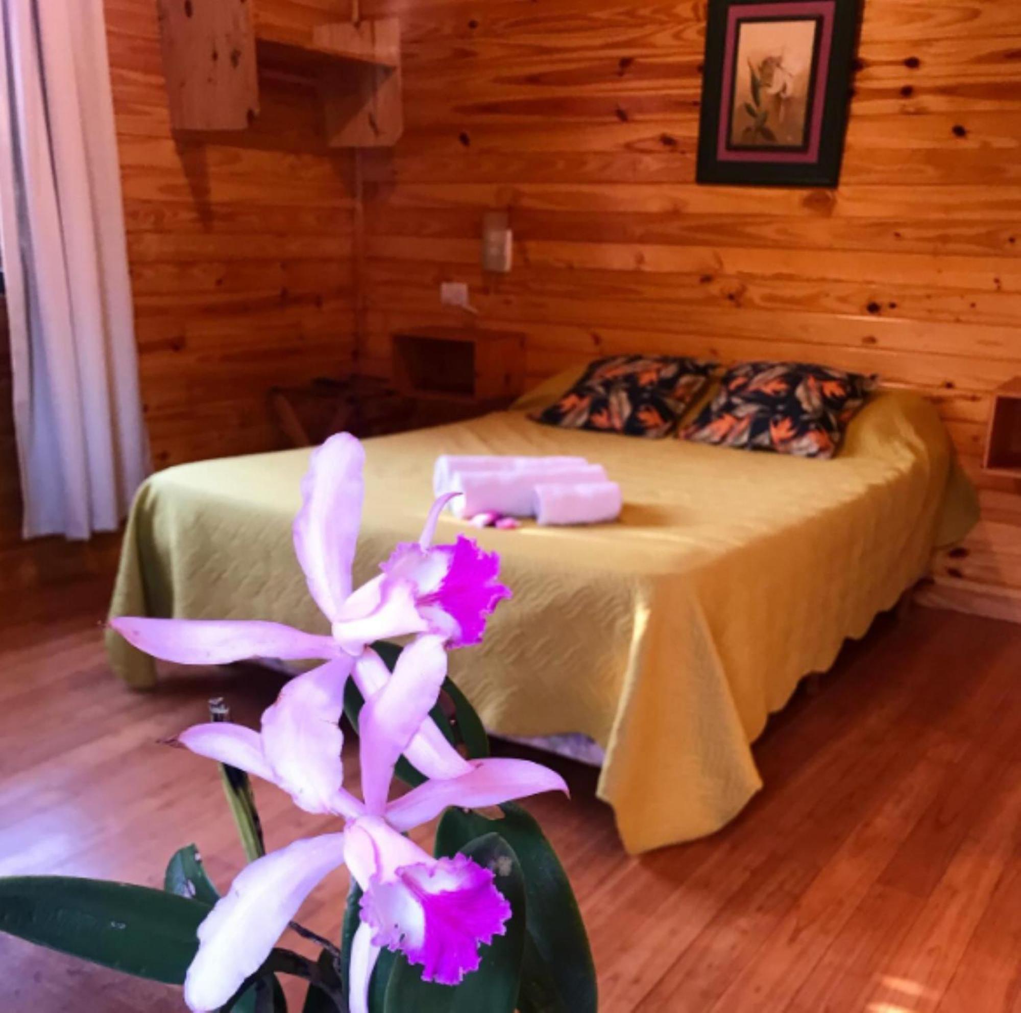 Doralia Lodge