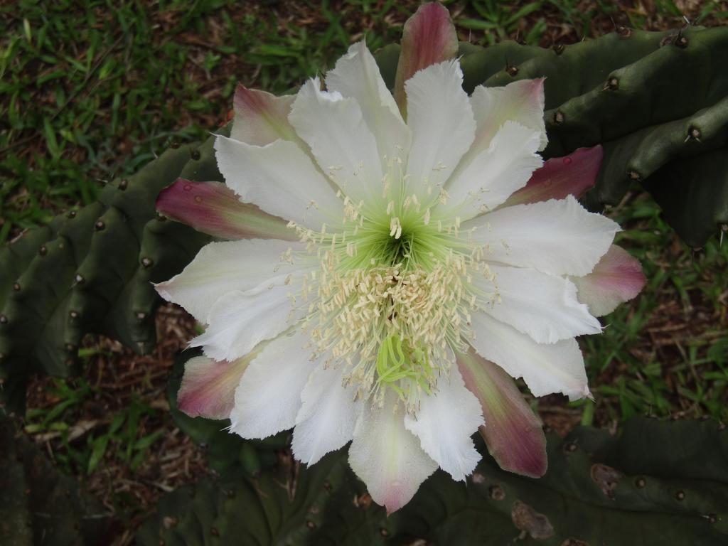Doralia Alojamento de Turismo Selvagem